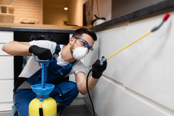 Best Rat Extermination Near Me  in Salida Del Sol Estates, TX