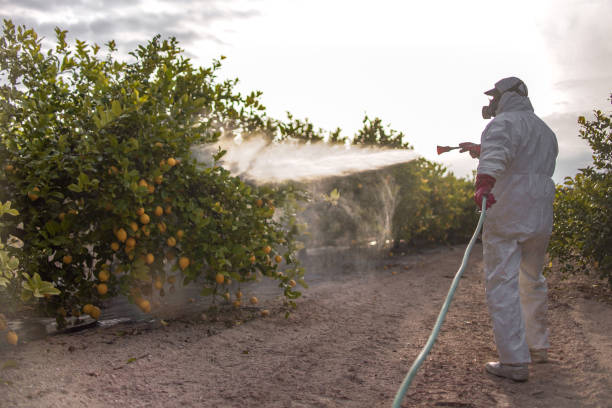 Trusted Salida Del Sol Estates, TX Pest Control Experts