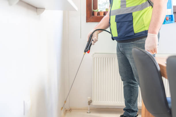 Best Ant Control Services  in Salida Del Sol Estates, TX