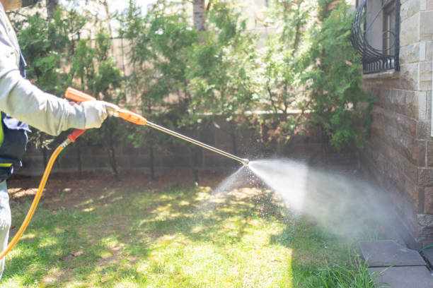 Best Best Pest Control Companies  in Salida Del Sol Estates, TX