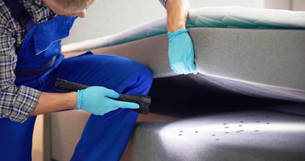 Best Wasp Removal Services  in Salida Del Sol Estates, TX