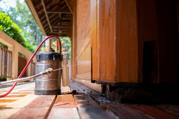 Best Pest Prevention Services  in Salida Del Sol Estates, TX