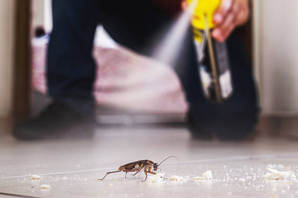 Best Residential Pest Control  in Salida Del Sol Estates, TX